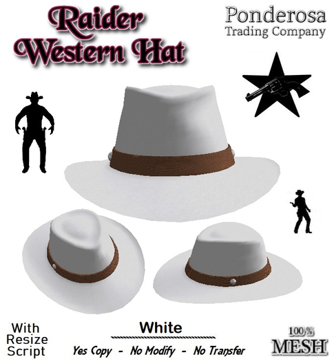 Raider Western Hat [MESH] White