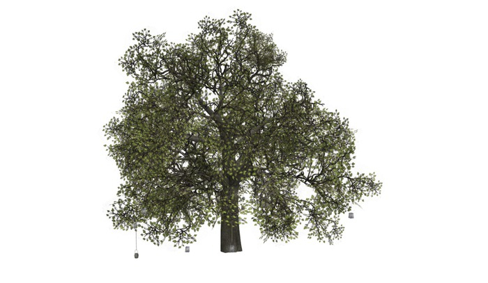 2 -DRD- Garden Party - Big Trees - RARE