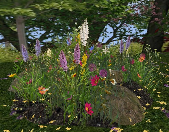 Wild Flower Garden
