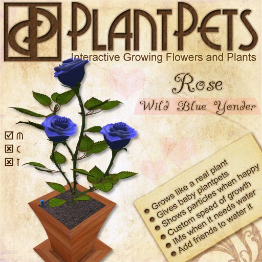 PlantPet Seed [Rose *Wild Blue Yonder*]