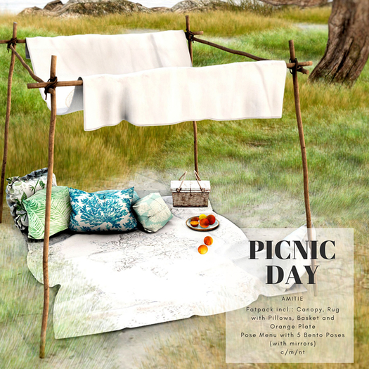 Amitie Picnic Day Pack 