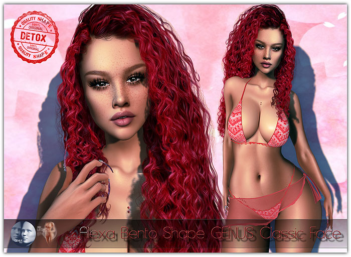 [Detox Shape] Alexa Bento Shape GENUS Classic Face