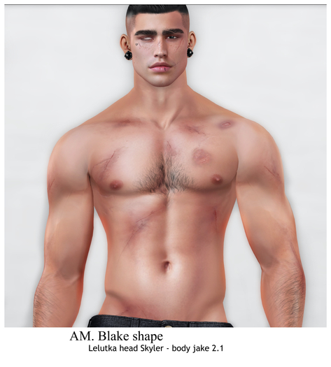 AM. - Blake Shape