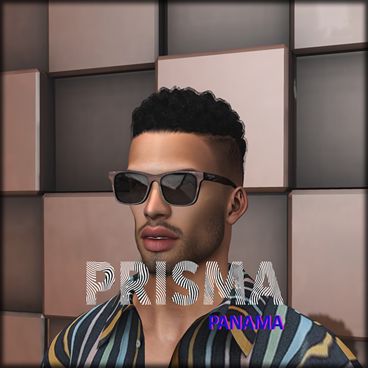 PRISMA - PANAMA SUNGLASSES (wear)