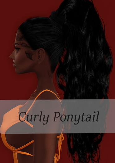 !SG Curly Ponytail