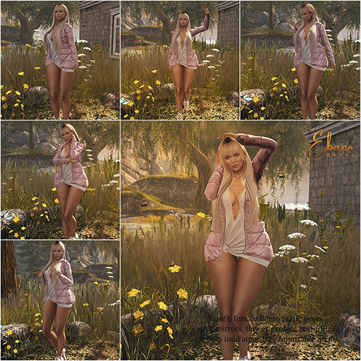 Ebano Poses Rose
