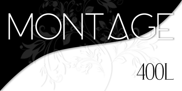 Montage Gallery Gift Card Pouch - 400L - *Rezz me*
