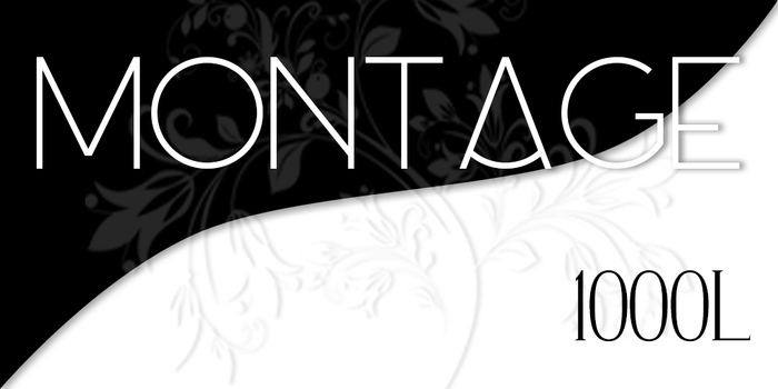 Montage Gallery Gift Card Pouch - 1000L - *Rezz me*