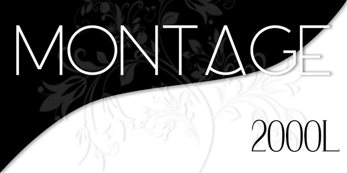 Montage Gallery Gift Card Pouch - 2000L - *Rezz me*