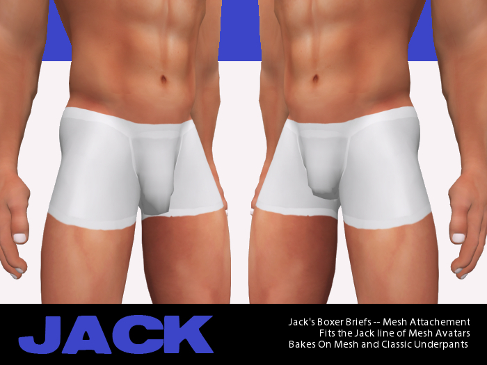 Jack's Boxer Briefs--Mesh Attachment