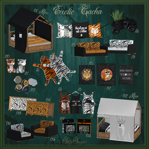22. *SS* Ex [ Vote Exotic C ]