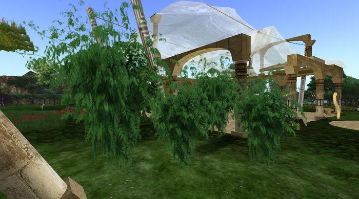 set plant -tropical- 2