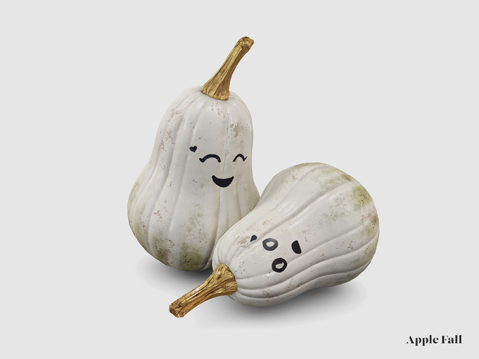 Apple Fall Pumpkin - Mr & Mrs Squash (Box)