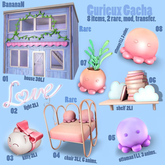 01 Curieux Gacha - House RARE