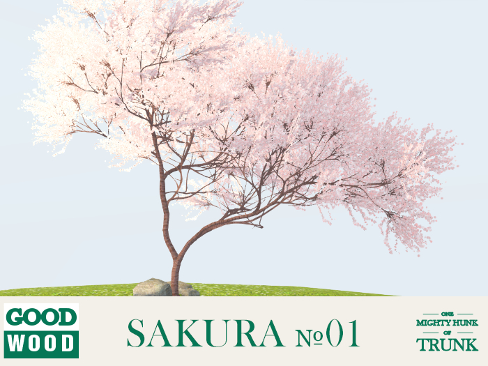 Goodwood - Sakura 01