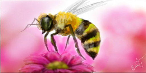 A bee's life - Beauty/Cig