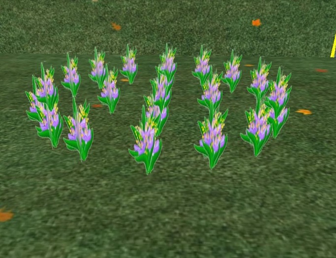plant6 - 5 fleurs 