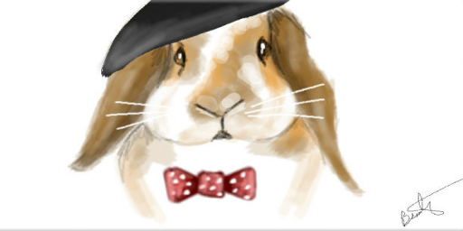 Frank the rabbit - Beauty/Cig