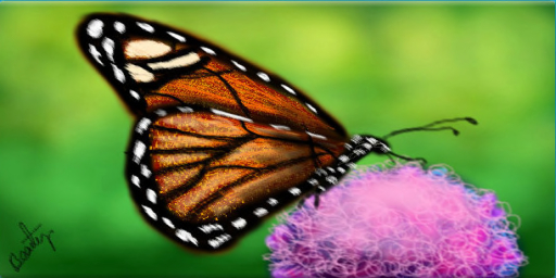 Monarch - Beauty/Cig