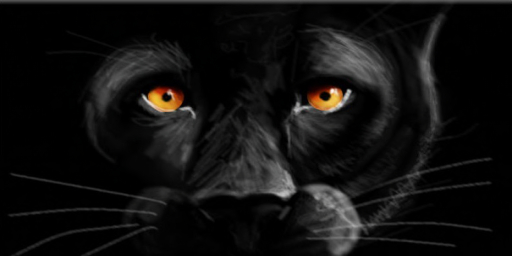 Panther - Beauty/Cig