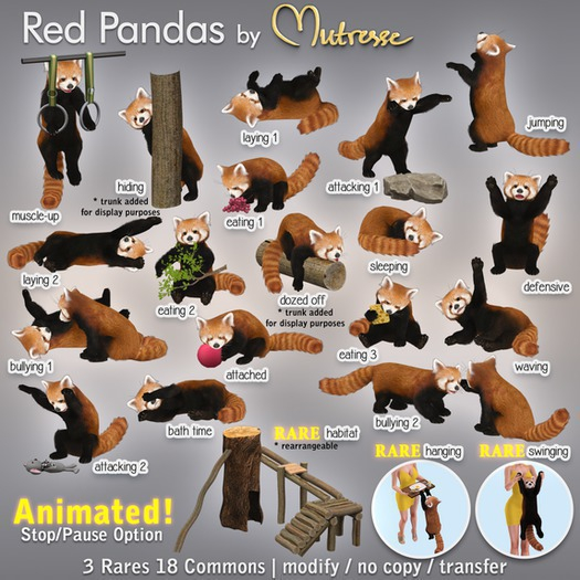 Mutresse - Hanging - Red Pandas RARE