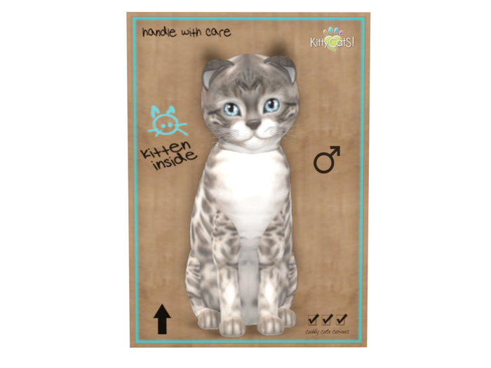 KittyCatS Box - 7 T - M - Bengal - Snow