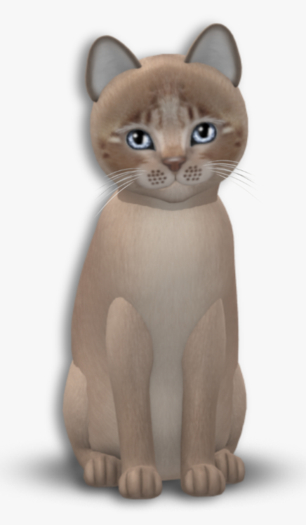 KittyCatS Box - Toy genmocha Female 877f