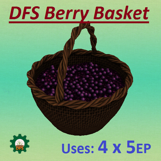 DFS Berry Basket