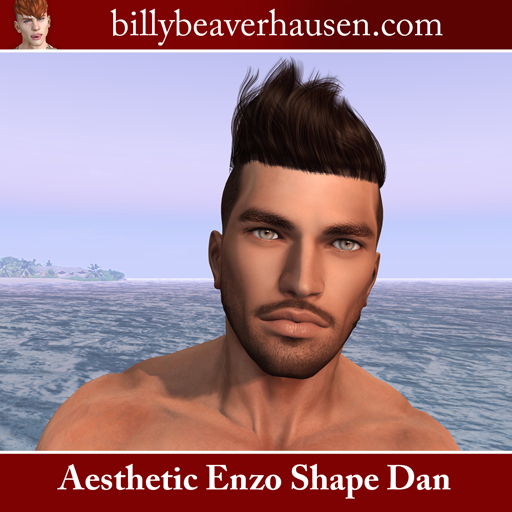 Niramyth Aesthetic Enzo Shape Dan