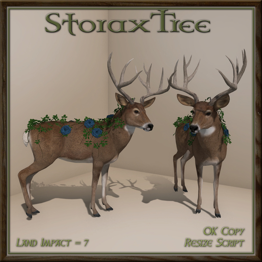 Spring Stag C