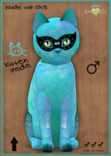 KittyCatS Box - New Born Kitten