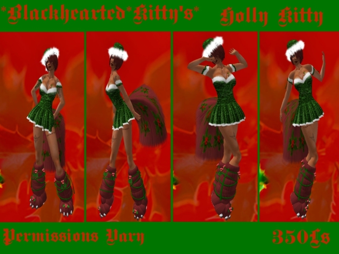 *BHK* Holly Kitty