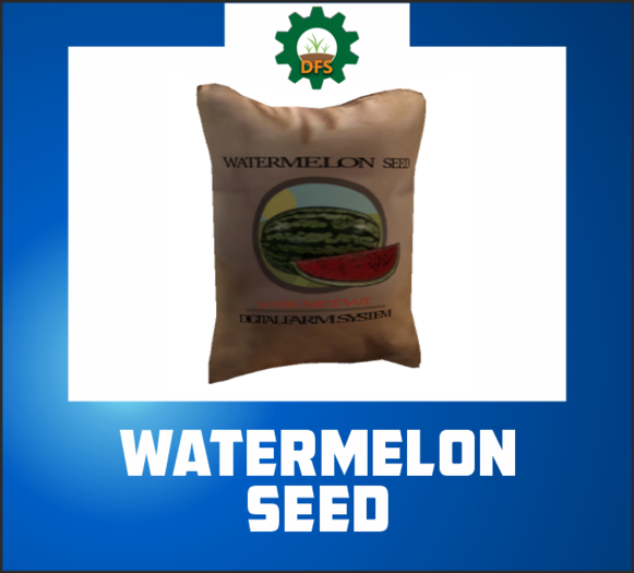 DFS WATERMELON SEED