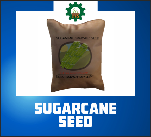 DFS SUGARCANE SEED