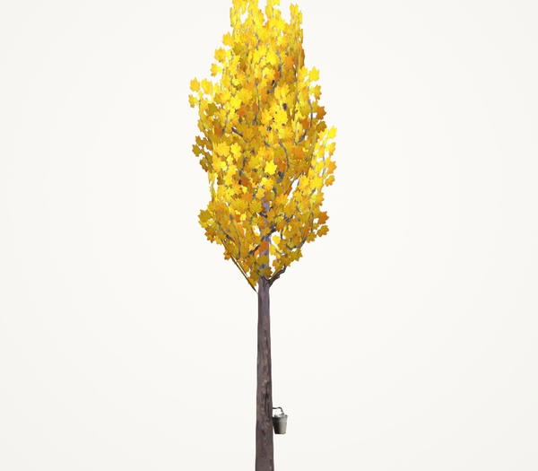 DFS Tree - Mother's Day Forever Maple (sap) (FSB #25) [TEXTURE]