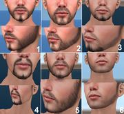 MEGAPACK I : 6 BEARDS + 1 bonus