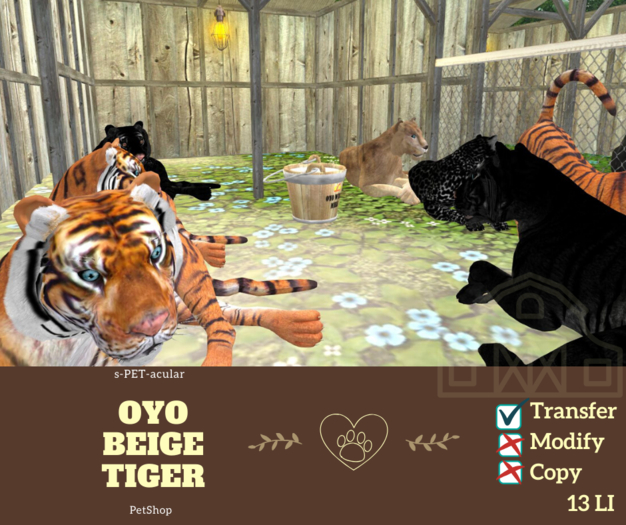 oYo Bundle - Female Beige Tiger