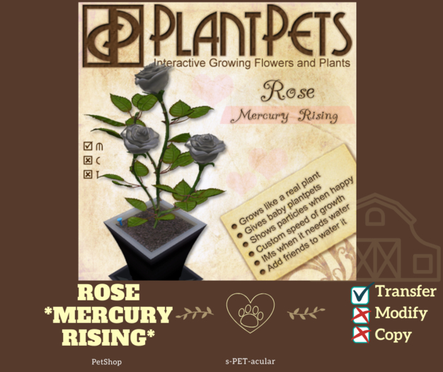 PlantPet Seed [Rose *Mercury Rising*]