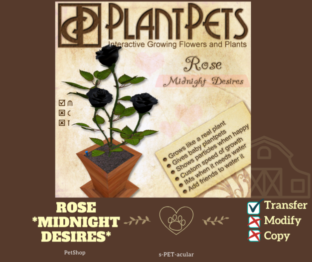 PlantPet Seed [Rose *Midnight Desires*]