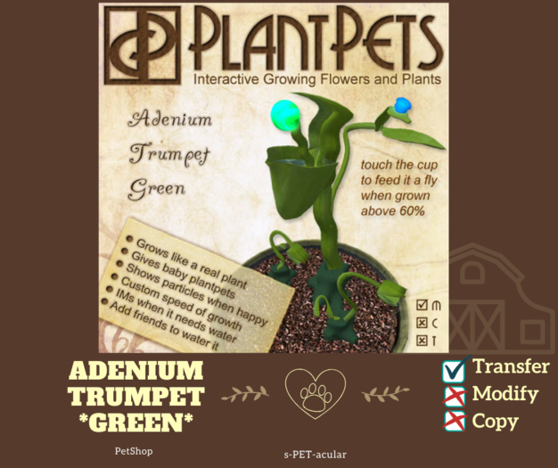 PlantPet Seed [Adenium Trumpet *Green*]