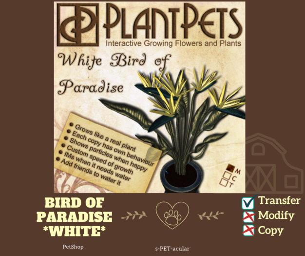 PlantPet Seed [Bird of Paradise *White*]