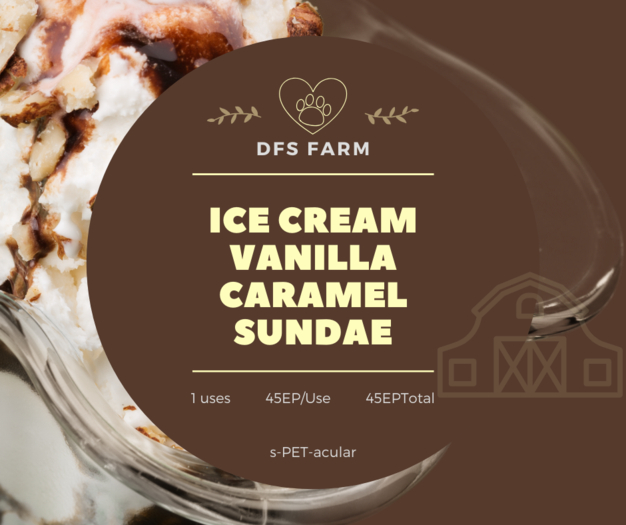DFS Ice Cream Vanilla Caramel Sundae