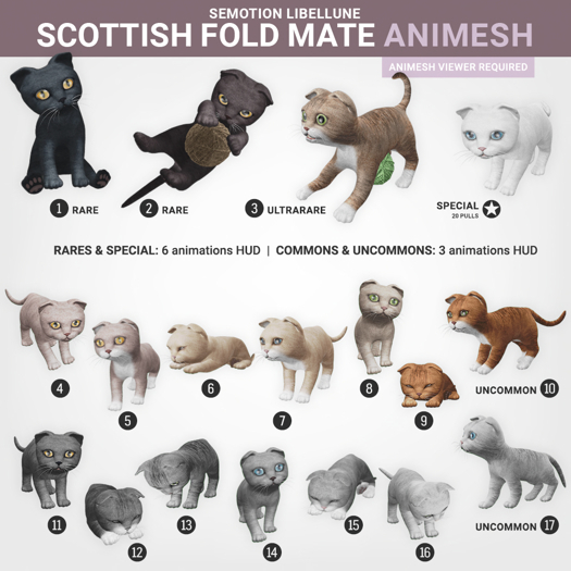 SEmotion Libellune Scottish Fold Mate Animesh #2 RARE