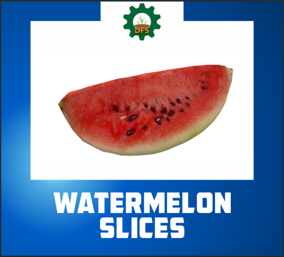 DFS WATERMELON SLICES (texture)