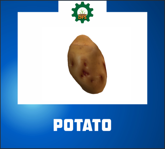 DFS POTATO (texture)