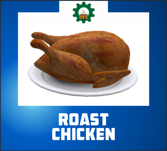 DFS ROAST CHICKEN (texture)