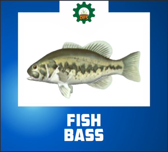 DFS FISH GRILLED (texture)