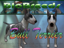 BioBreeds (BB) Dog FEMALE Bull Terrier (BullT) STARTER (Boxed)
