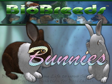 BioBreeds (BB) Bunny MALE Rabbit STARTER (Boxed)