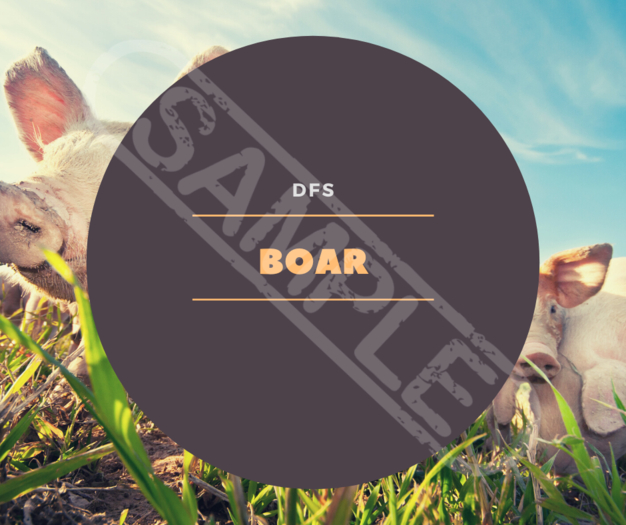 TEXTURE DFS Boar